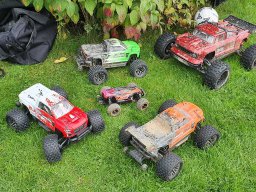 Modelle unserer Mitglieder