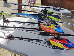 Modelle unserer Mitglieder