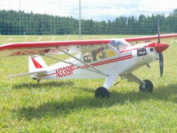 Modelle unserer Mitglieder