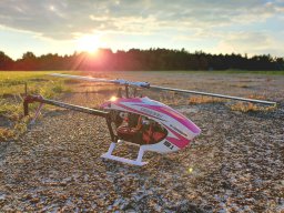 Modelle unserer Mitglieder