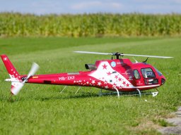 Modelle unserer Mitglieder