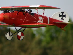 Modelle unserer Mitglieder