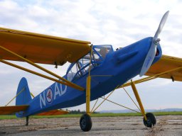 Modelle unserer Mitglieder