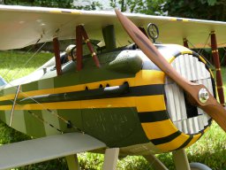 Modelle unserer Mitglieder