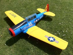 Modelle unserer Mitglieder