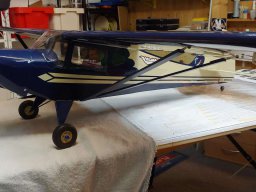 Modelle unserer Mitglieder